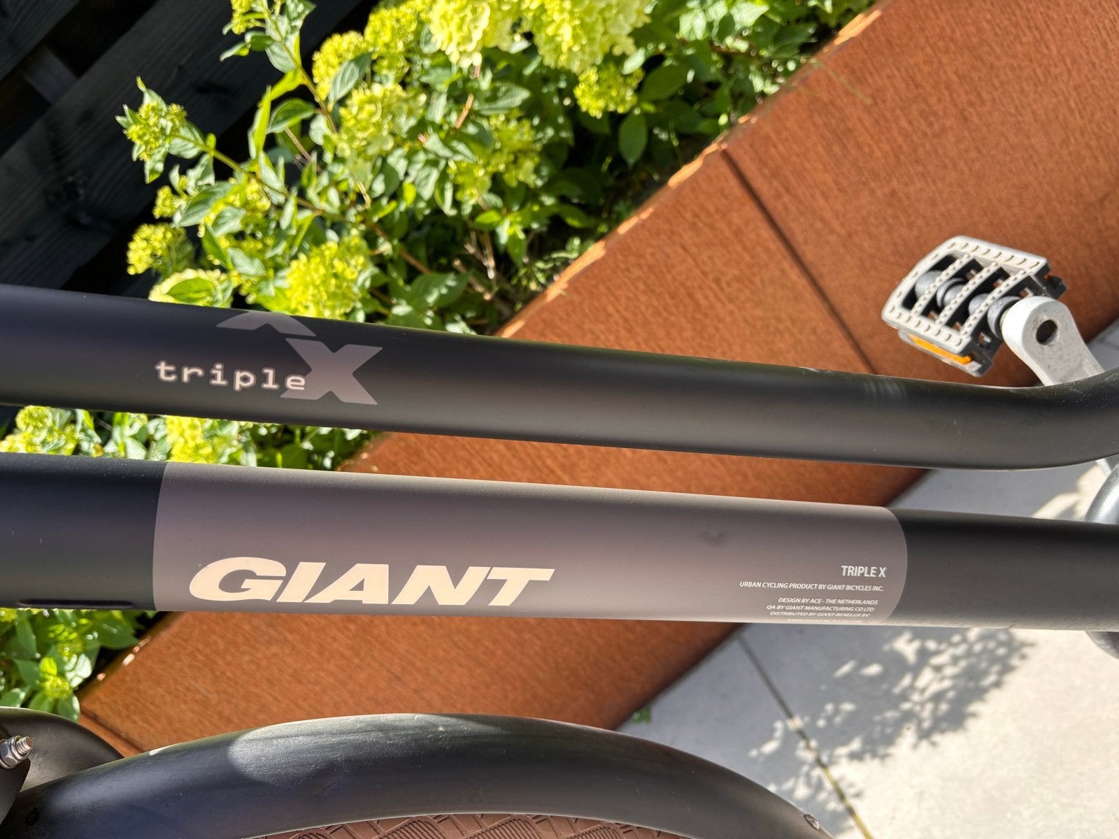 Giant Triple X Damesfiets - Stijlvolle Transportfiets, Ophalen, Terugtraprem, Versnellingen, Giant