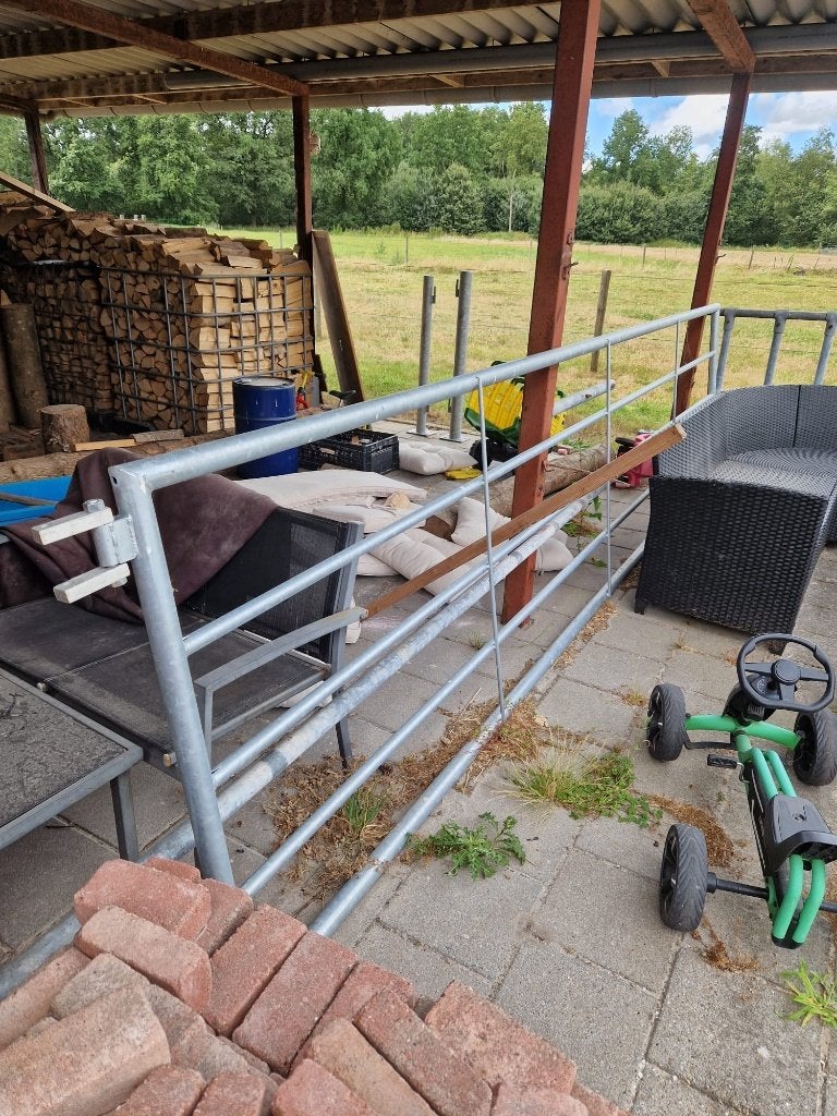 Gloednieuw landbouwhek, Dieren en Toebehoren, Weidegang, 4 paarden of pony's of meer
