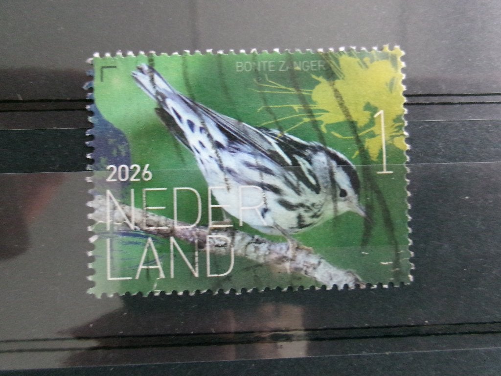 2026 - beleef de natuur bonte zanger (477e), Verzenden, Gestempeld