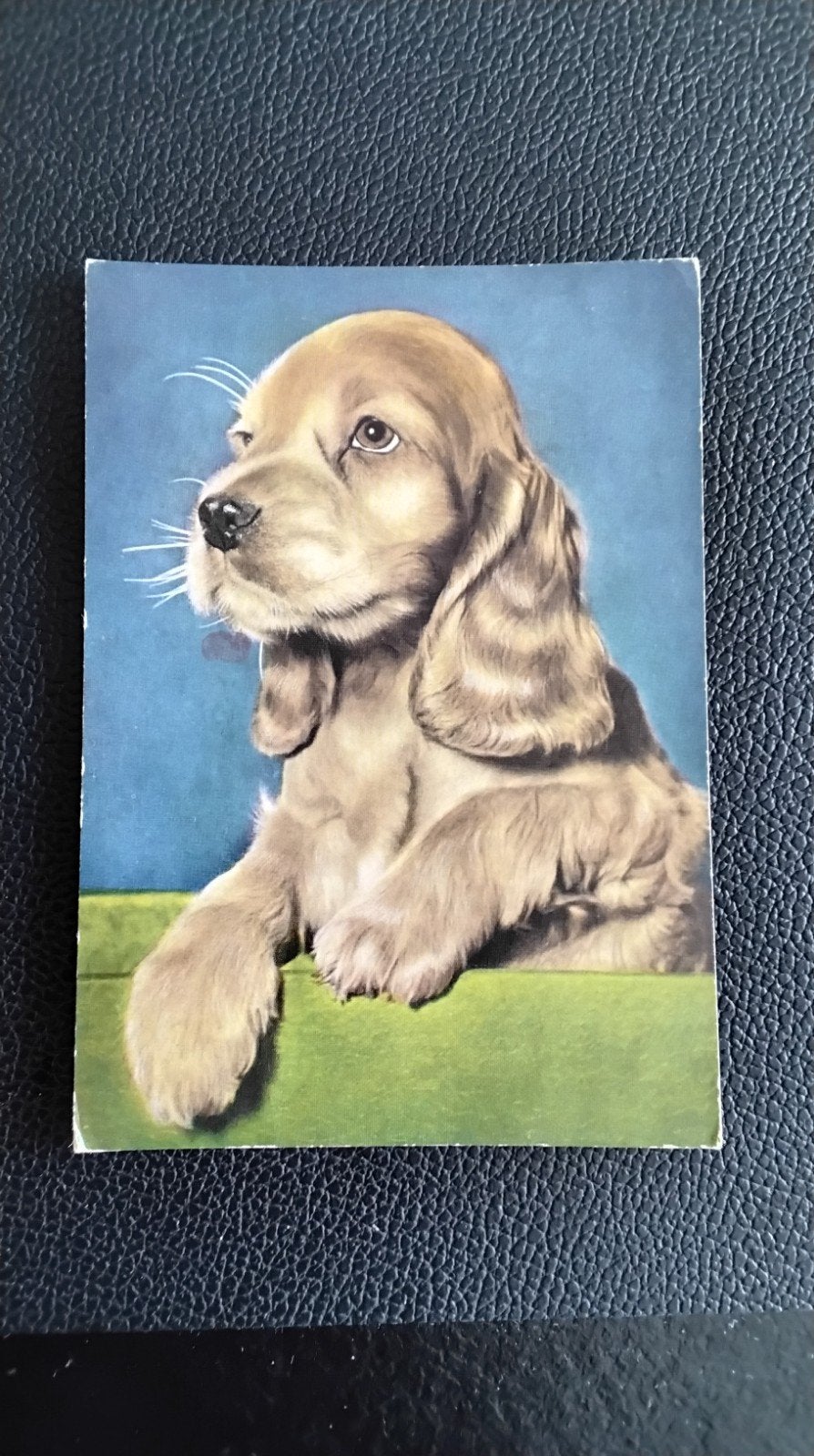Vintage Ansichtkaart: Schattige Cocker Spaniël Pup, Ophalen of Verzenden, 1960 tot 1980, Gelopen, Limburg