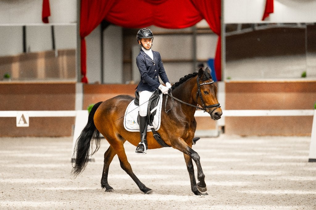 New Forest D-pony zoekt haar nieuwe 5-sterrenhuisje, Dieren en Toebehoren, Merrie, Dressuurpony, 11 jaar of ouder, D pony (1.37m tot 1.48m)