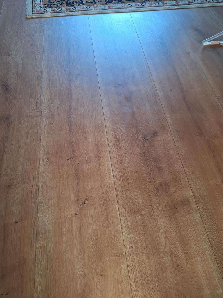 Laminaat van het merk Floer, Ophalen, 30 cm of meer, 50 tot 150 cm, Nieuw