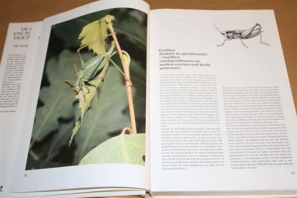 Grote Encyclopedie der Insekten., Ophalen of Verzenden, Gelezen