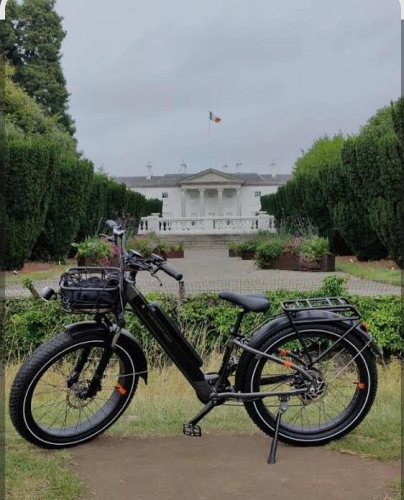 Gezocht: Defecte Rad Power Bikes en accu's, Fietsen en Brommers, Elektrische fietsen, Ophalen of Verzenden, Gebruikt, Overige merken