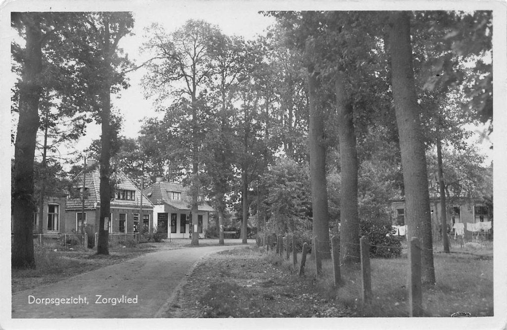 702-389-031 Dorpsgezicht Zorgvlied, Verzenden, Voor 1920, Drenthe