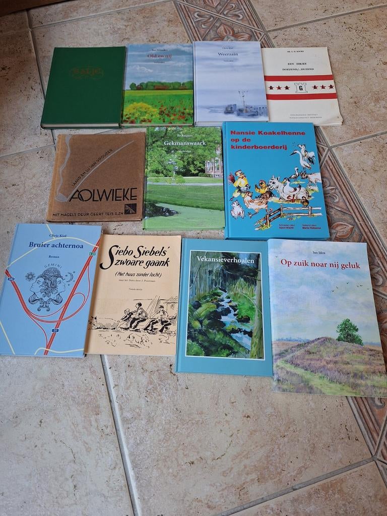 Grunneger bauk, Boeken, Ophalen of Verzenden, Zo goed als nieuw