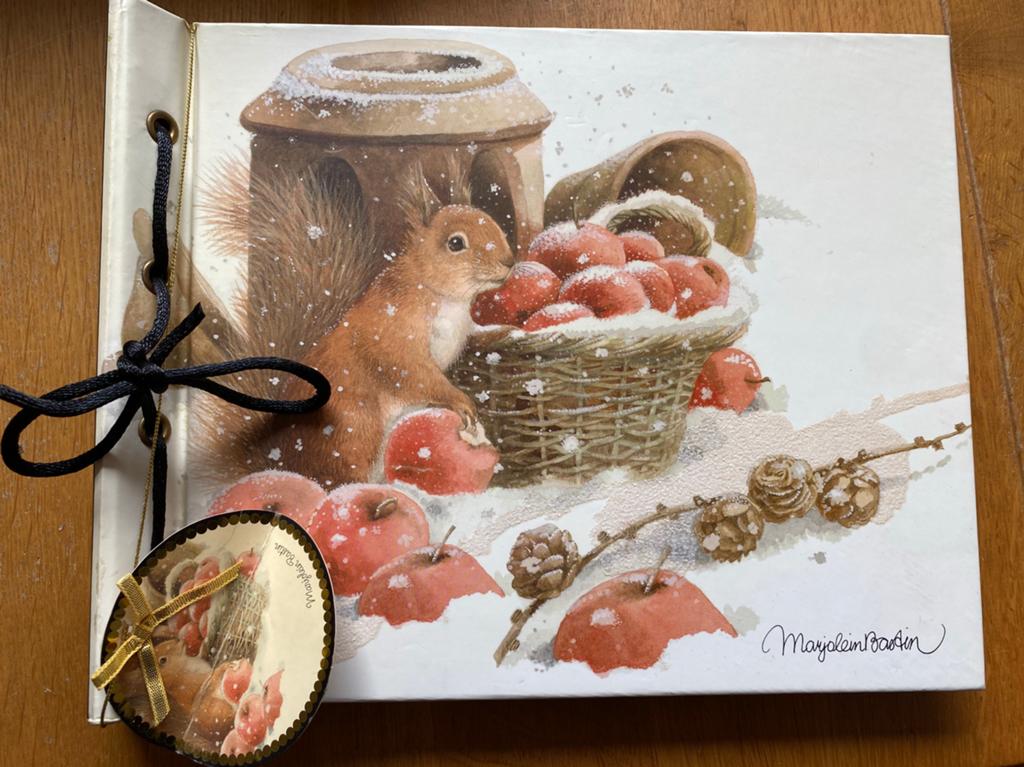 Marjolein bastin - fotoalbum uit 2008 ( winter/eekhoorn), Audio, Tv en Foto, Fotoalbums en Accessoires, Ophalen of Verzenden, Fotoalbum