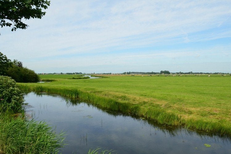 Grond te koop in de gemeente Haarlemmermeer, Ophalen of Verzenden, Tuinaarde