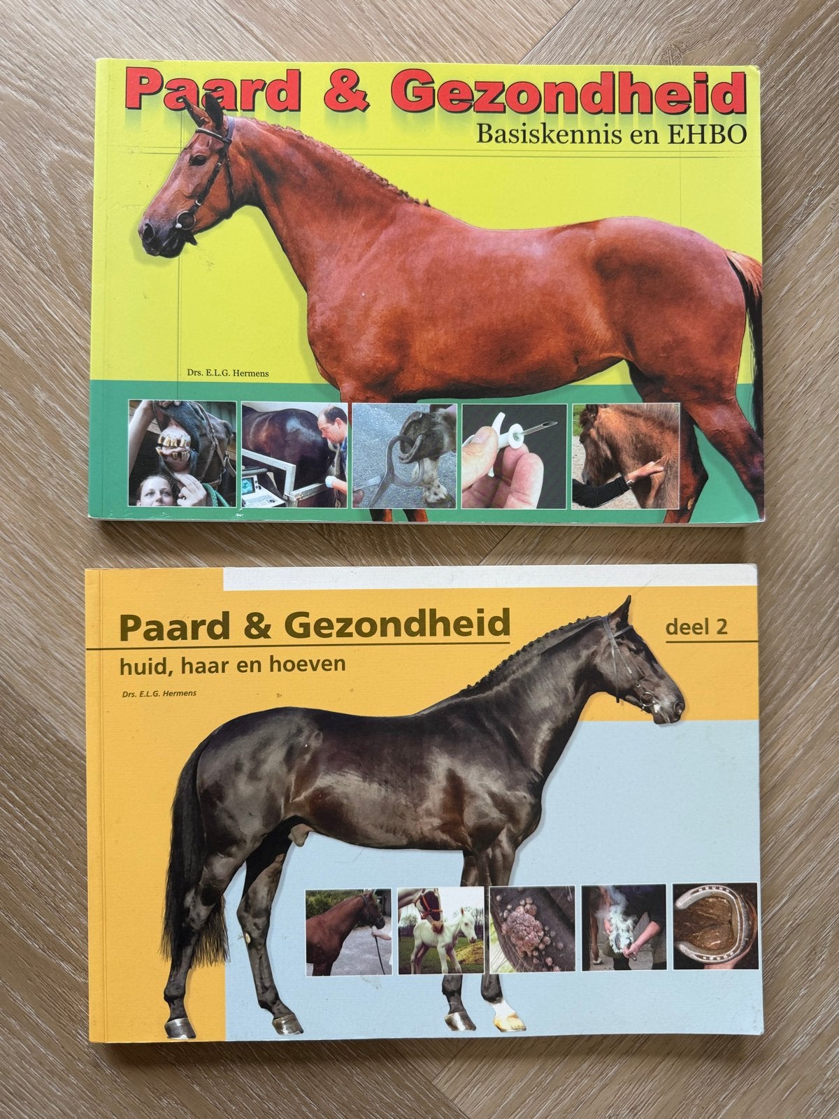 Paard & Gezondheid - Basiskennis en EHBO + Deel 2, Boeken, Ophalen of Verzenden, Gelezen, Paarden of Pony's