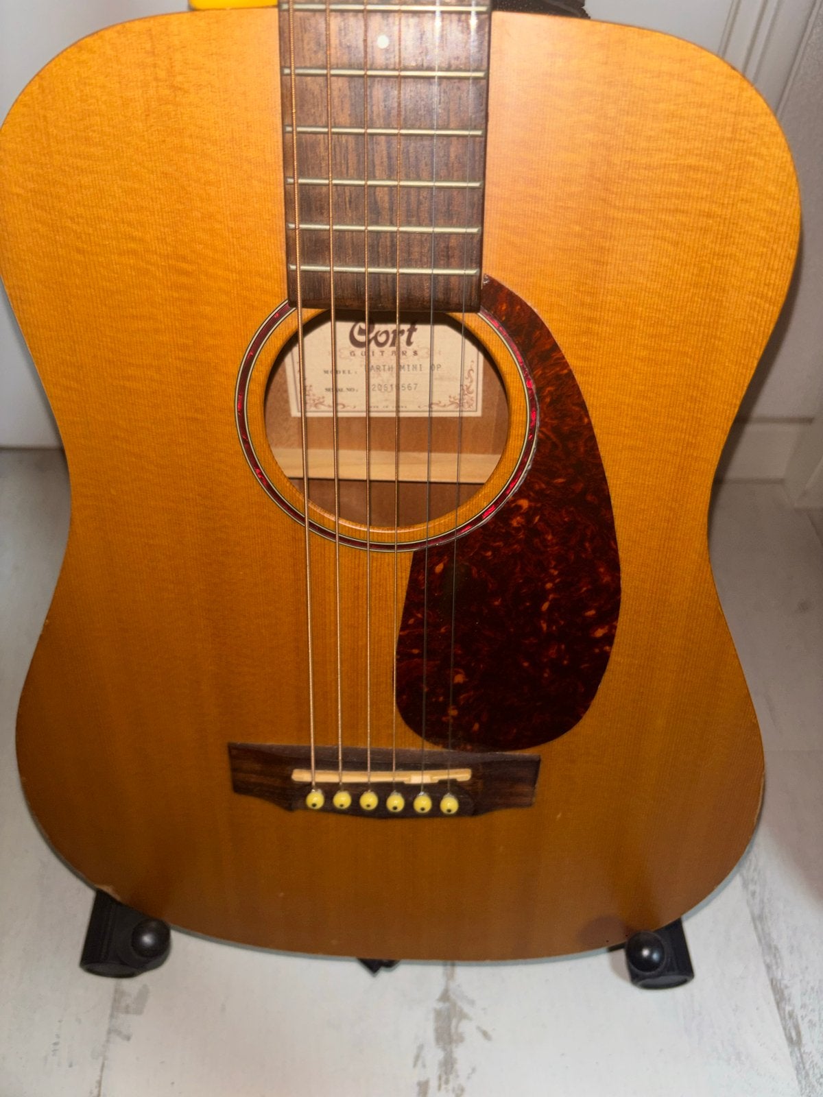 Cort akoestische gitaar - Ideaal voor beginners, Ophalen, Zo goed als nieuw, Western- of Steelstringgitaar