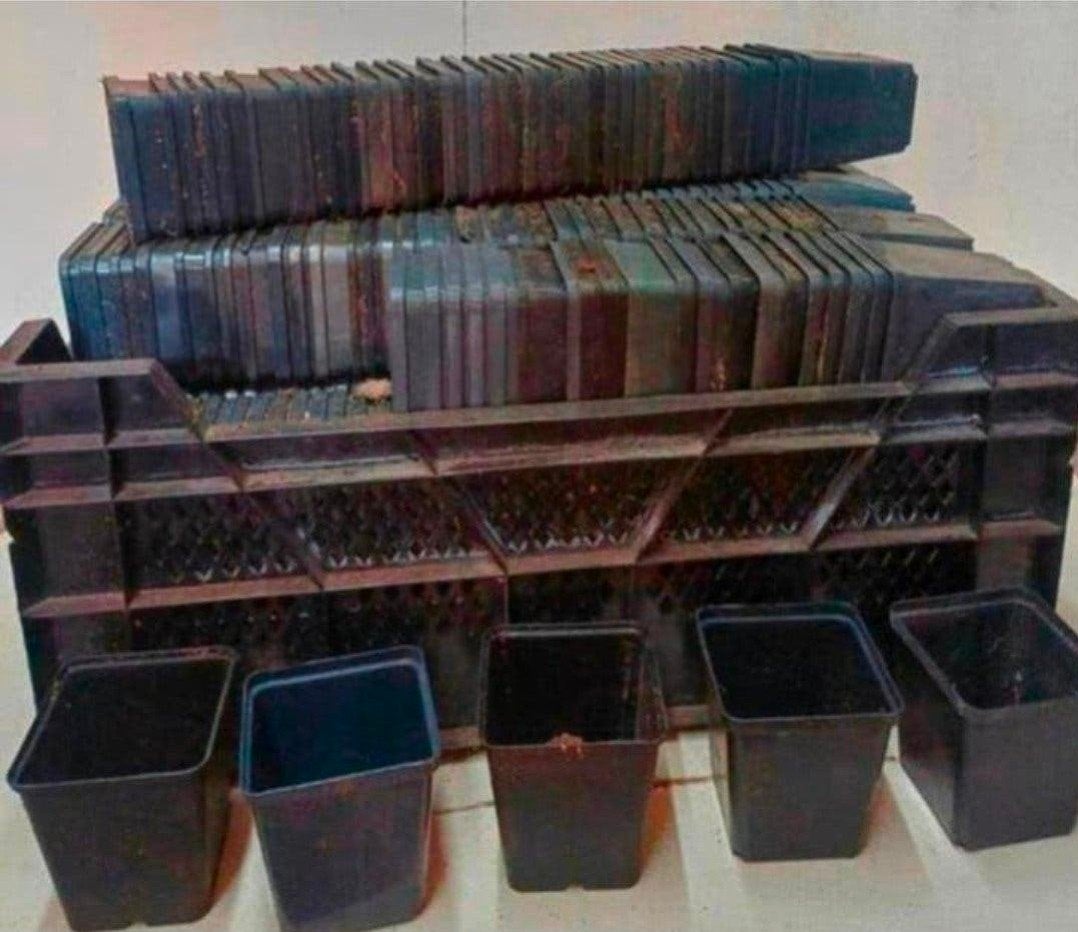 kweekpotten plantenpotten bloempotten p9 9x9x10 cm zwart, Tuin en Terras, Kunststof, Gebruikt, Ophalen of Verzenden, Nvt