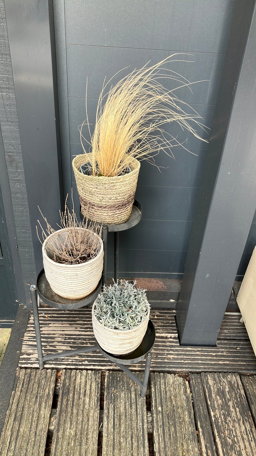 Plantenrek met plantjes en pot, Tuin en Terras, Ophalen, Gebruikt, Rond, Minder dan 30 cm