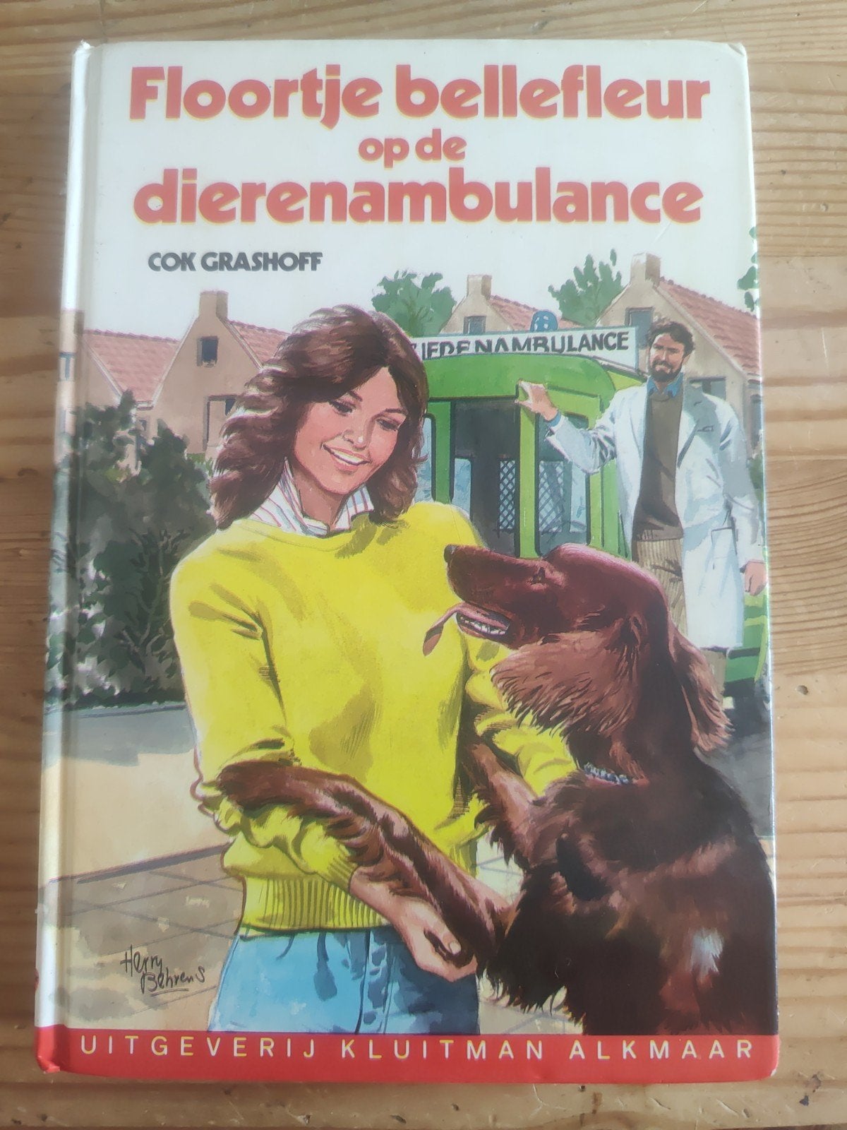 Floortje Bellefleur op de Dierenambulance - Cok Grashoff, Boeken, Ophalen of Verzenden, Gelezen, Cok Grashoff, Fictie algemeen