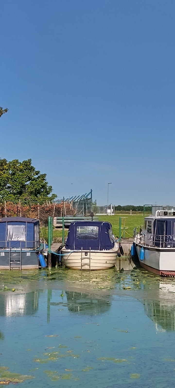 Nidelv 24 met Volvo Penta 36 pk - Bouwjaar 1983, Ophalen, Gebruikt, 36 pk, Toilet
