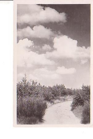 Ansichtkaart	Achterhoek	Zandpad, Verzenden, 1940 tot 1960, Gelopen, Gelderland