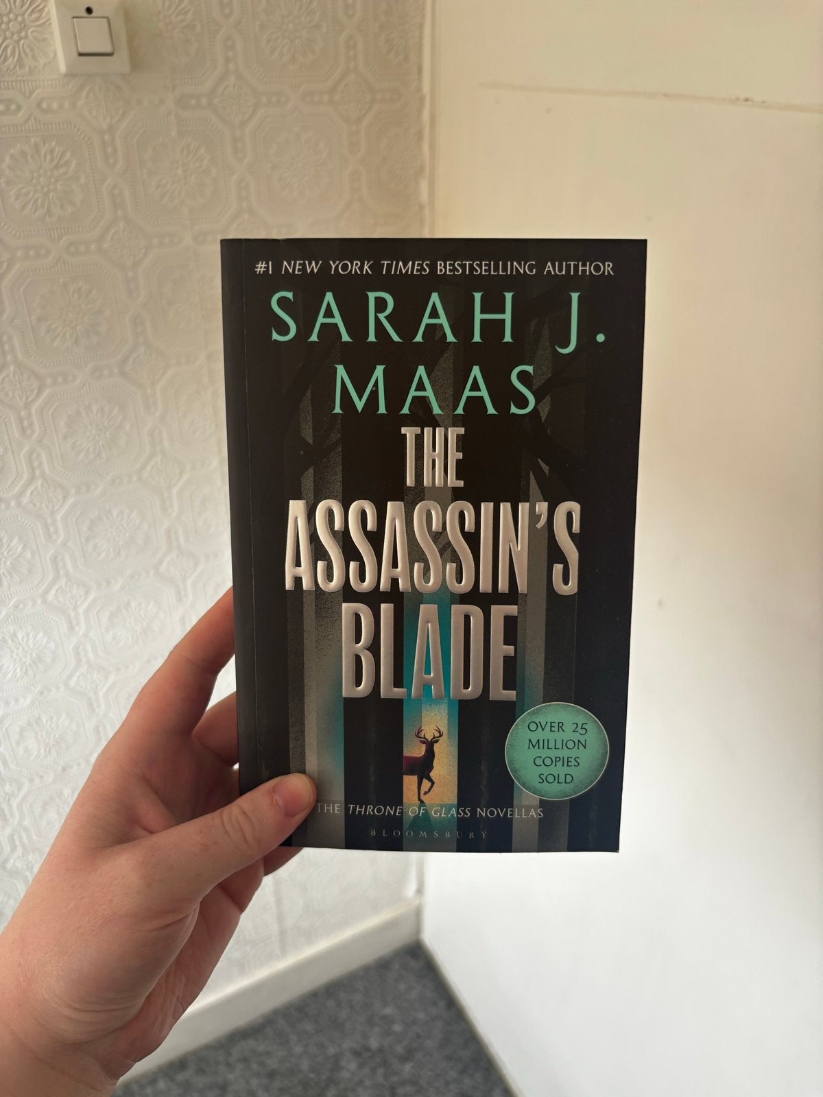 The Assassin's Blade - Sarah J. Maas (Engels), Ophalen of Verzenden, Zo goed als nieuw, Wereld overig