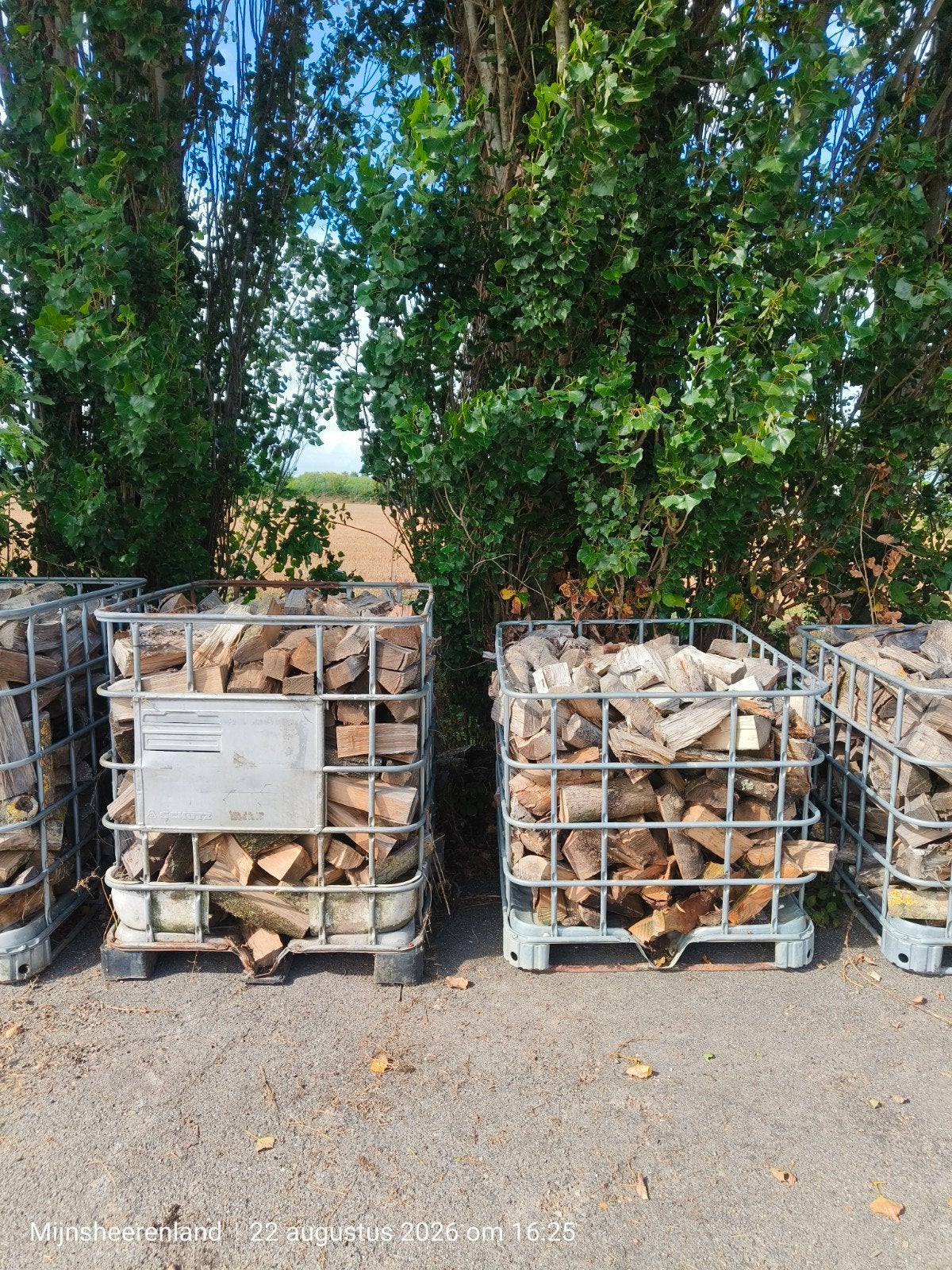 Gekloofd brandhout - Diverse houtsoorten, Tuin en Terras, Haardhout, 3 tot 6 m³, Ophalen, Overige houtsoorten, Blokken