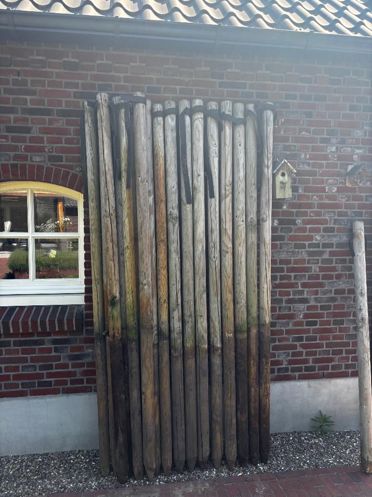 18 stuks - Boompalen 2.44 cm lang, gepunt diameter 75 mm, Ophalen, Gebruikt, 180 tot 250 cm, Palen
