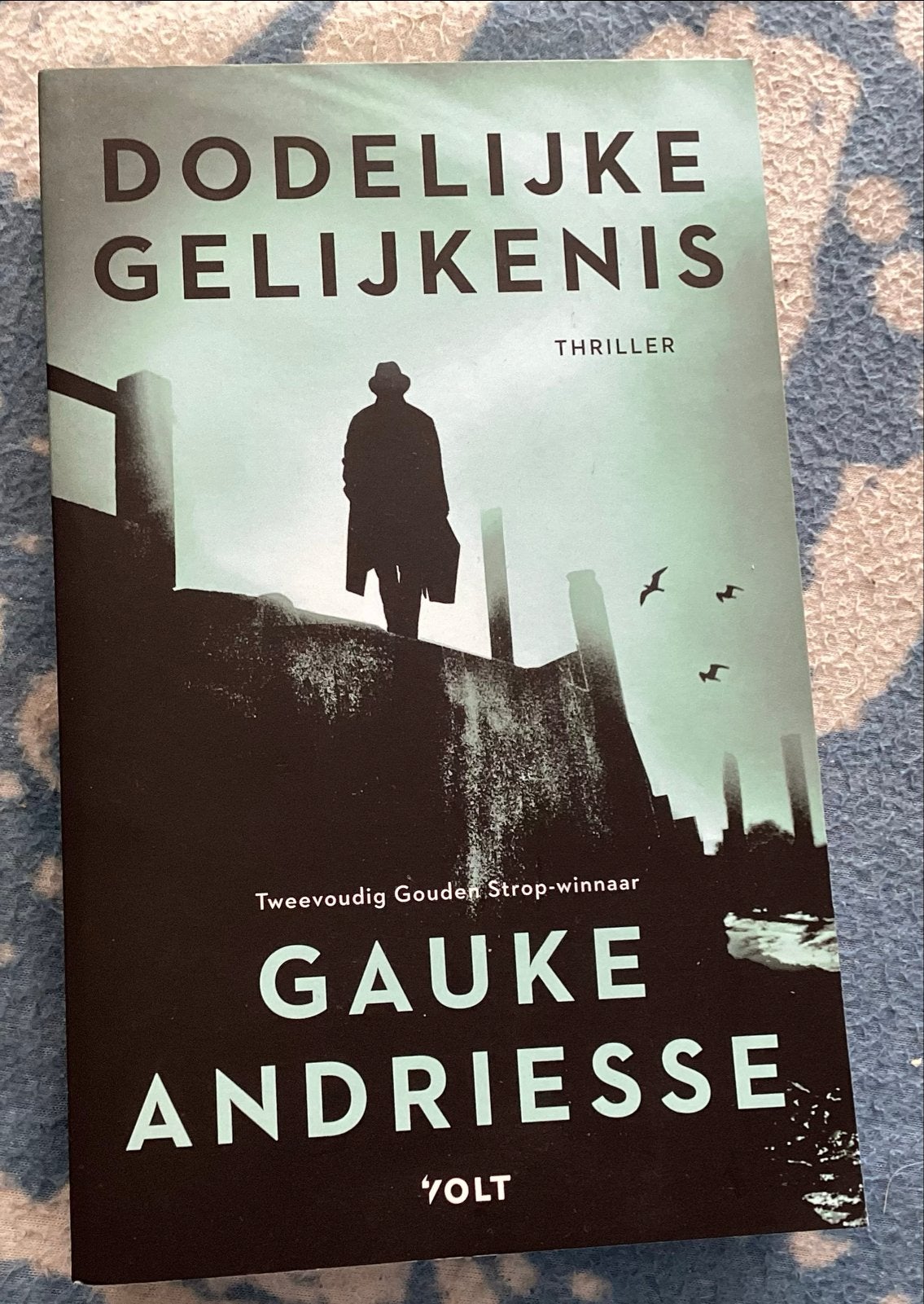 Dodelijke Gelijkenis - Gauke Andriesse (Thriller), Ophalen of Verzenden, Nieuw, Nederland
