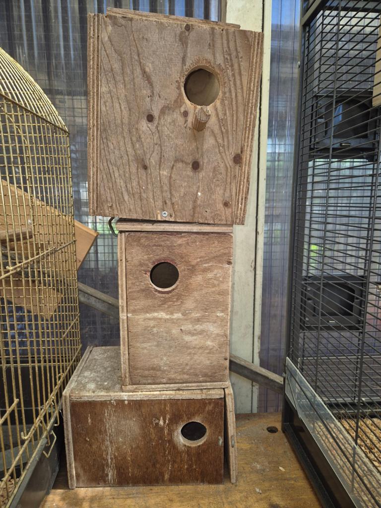 Te koop broedblokken parkieten, Ophalen of Verzenden, Hout, Broedkooi of Kweekkooi
