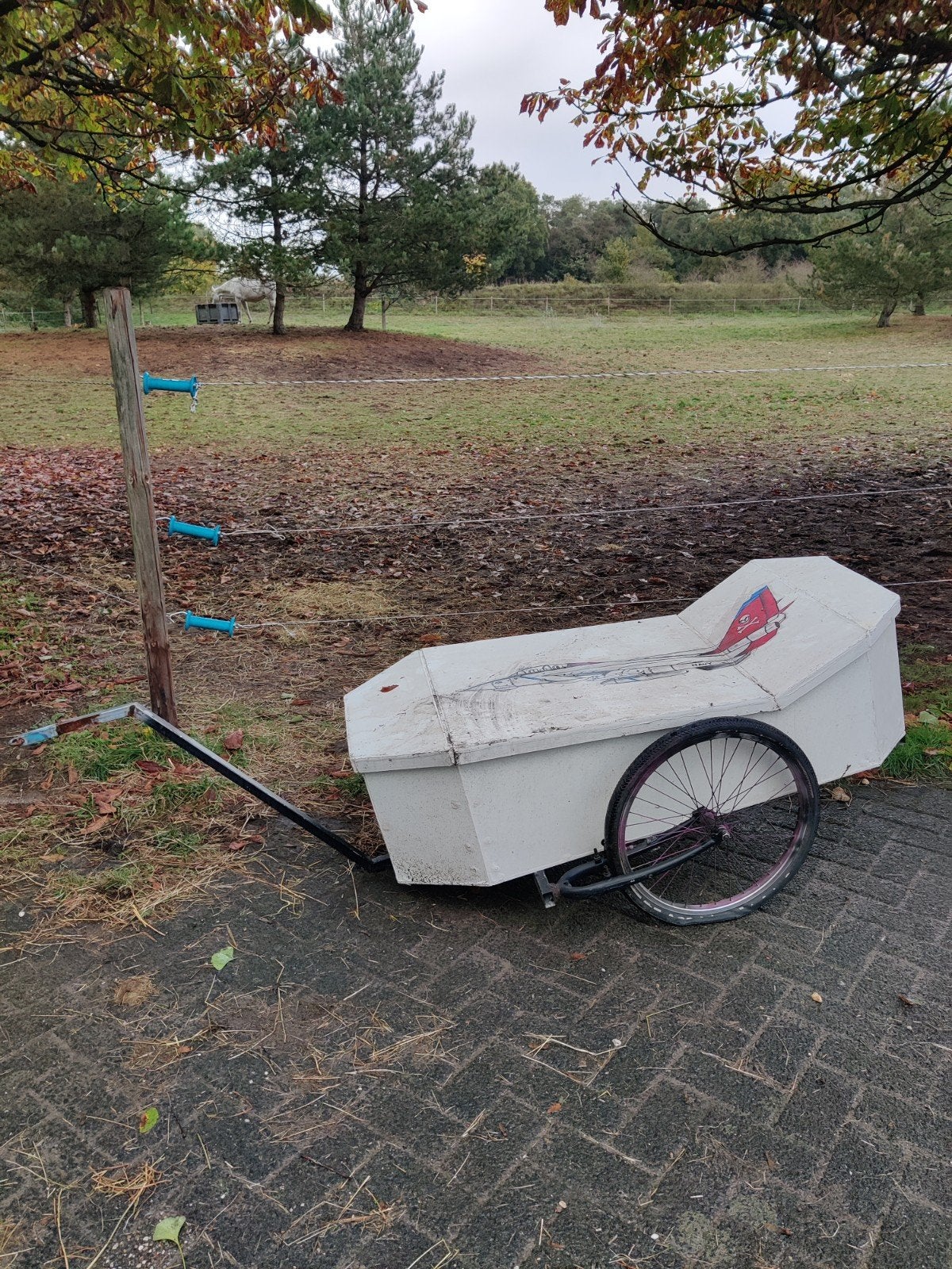 GRATIS Fietskar Viskar Krantenkar Aanhanger Fiets, Ophalen, Gebruikt, Kinderkar, 80 kg of meer