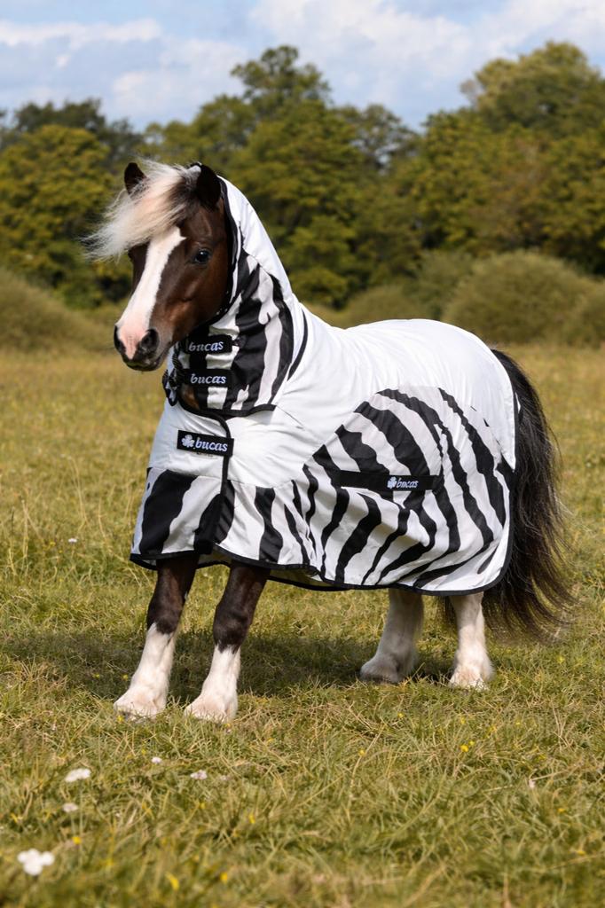 Nieuw Bucas Buzz-Off Rain Zebra FN, Mini Maat, Dieren en Toebehoren, Shetlander/Mini, 0 g, Nieuw, Deken