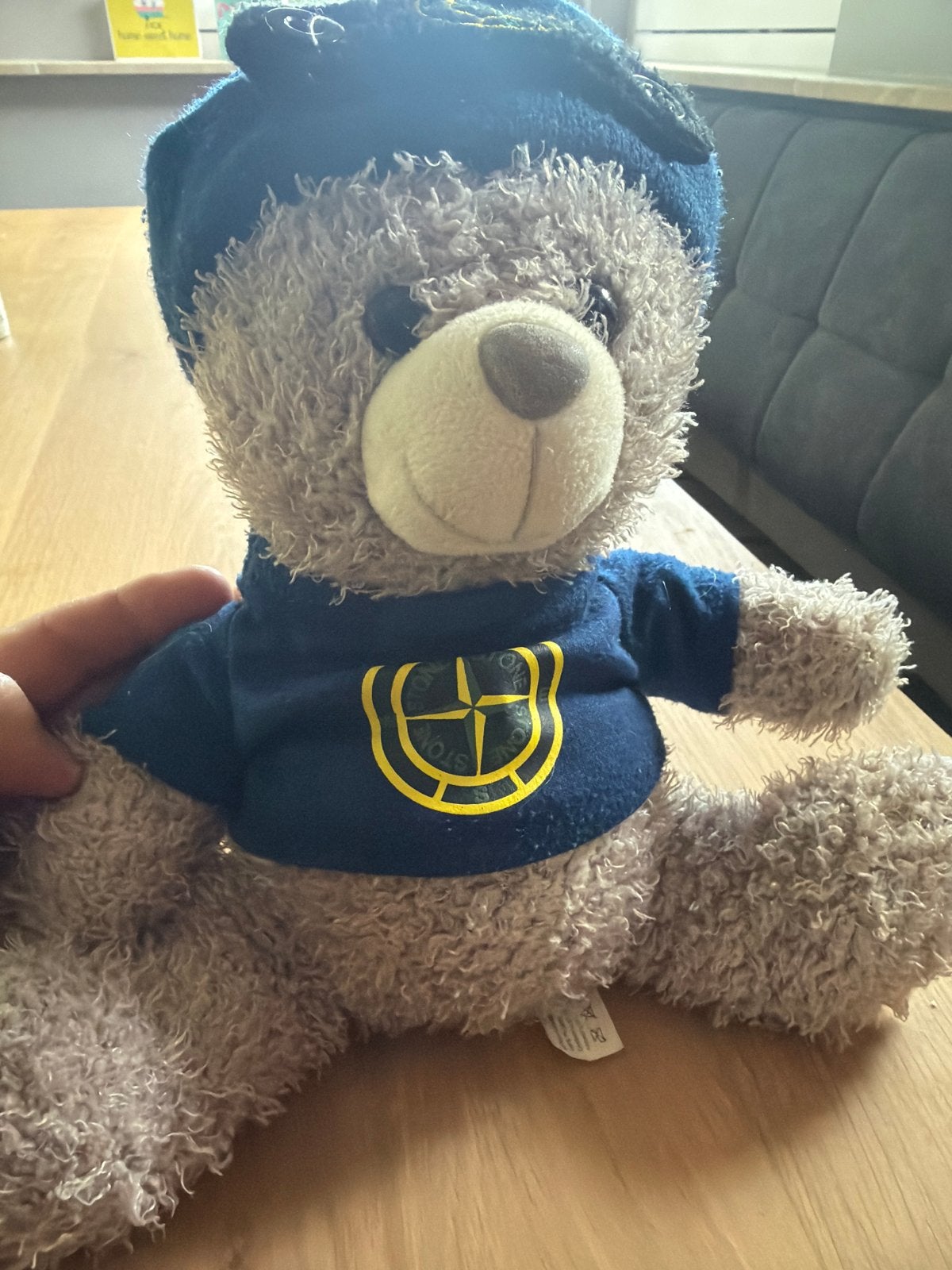 Stone Island teddybeer met muts en shirt, Ophalen, Gebruikt, Overige merken, Overige karakters