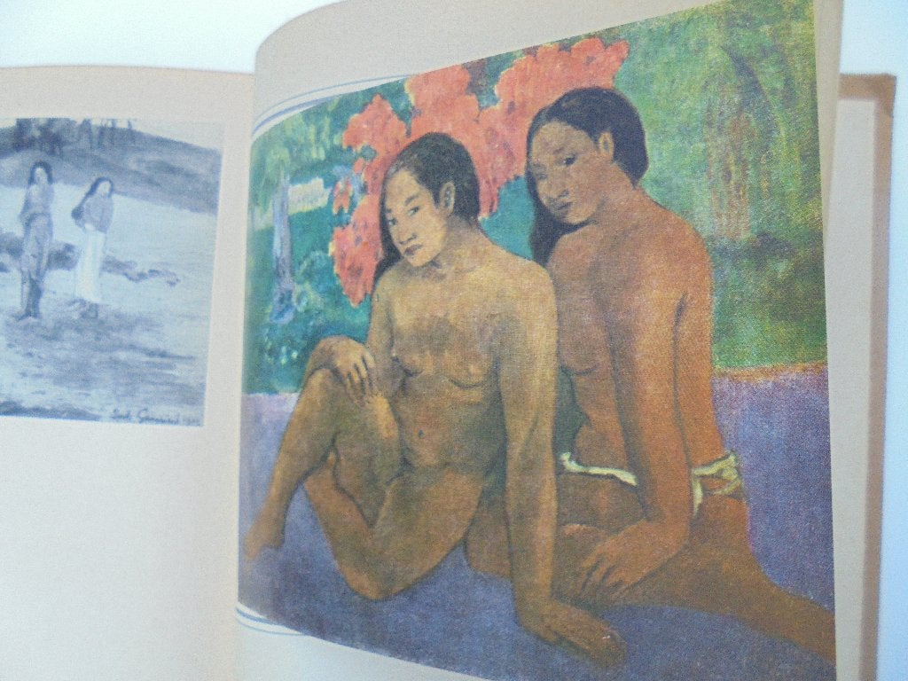 Gaugin impressionisme (L5-6), Ophalen, Gelezen
