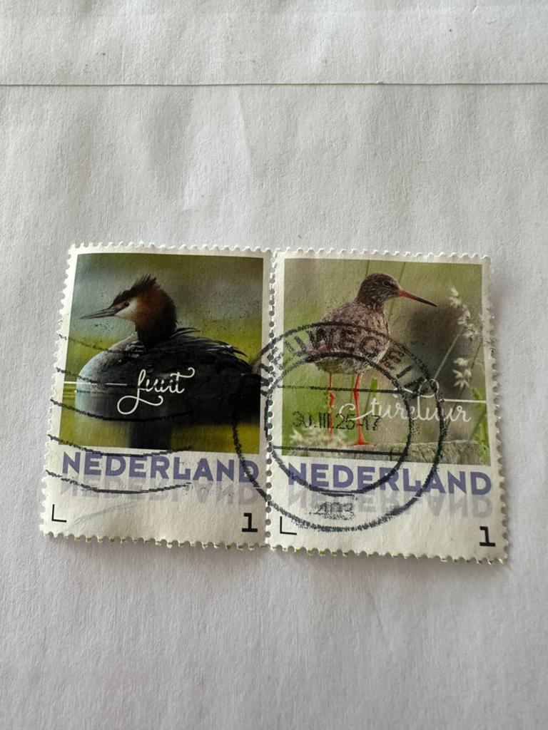 Paartje fuut en tureluur, Postzegels en Munten, Postzegels | Nederland, Ophalen of Verzenden