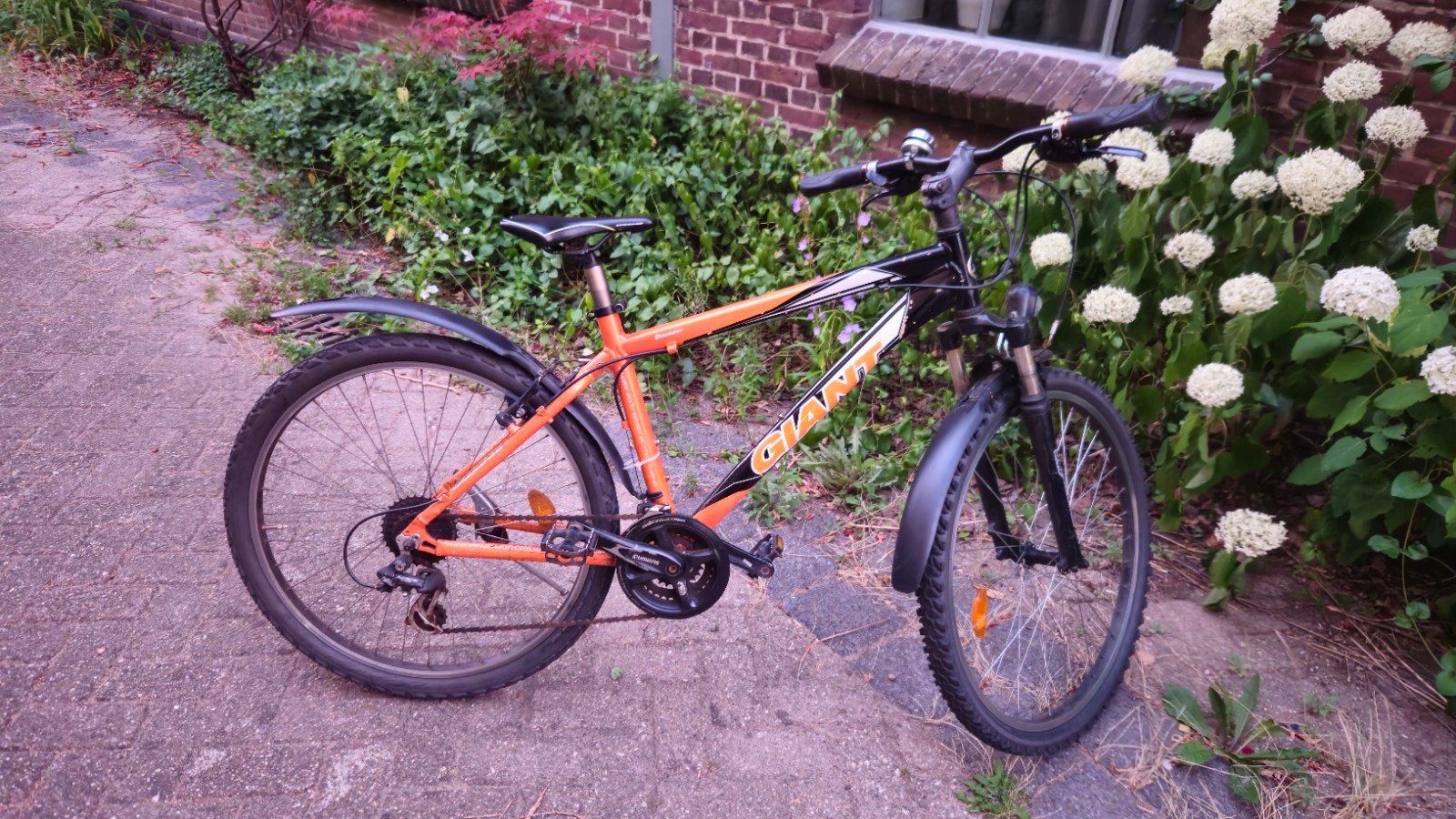 Giant jongens mountainbike framemaat 44, Gebruikt, Velgrem, Giant, Ophalen
