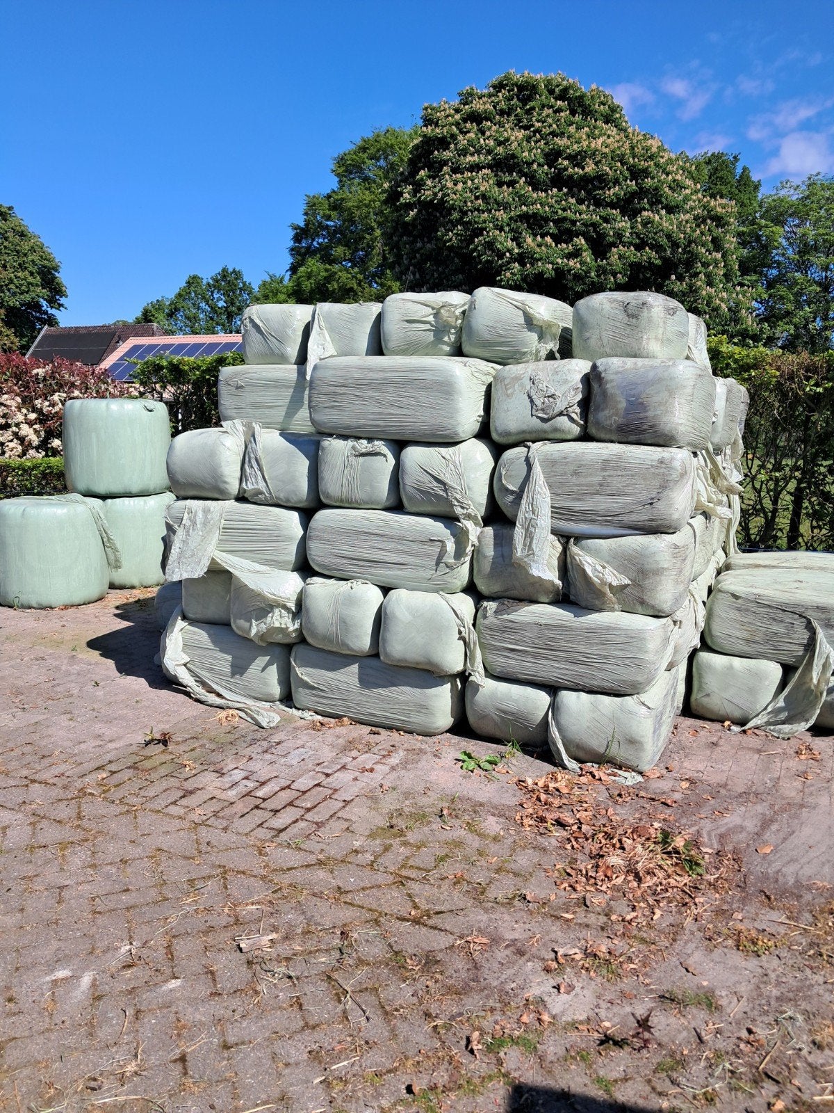 Kleine baaltjes voordroogkuil/hooi, Dieren en Toebehoren, Ophalen, Vee