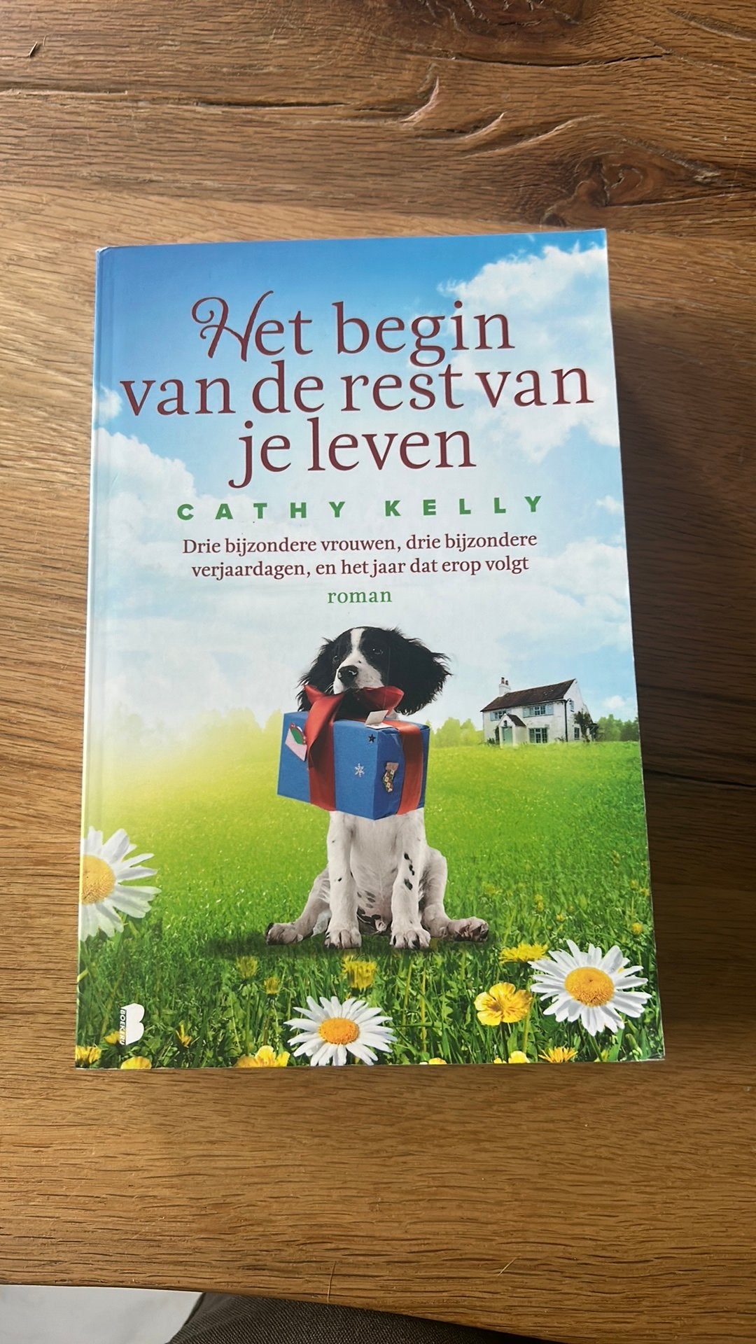 Het begin van de rest van je leven - Cathy Kelly, Boeken, Europa overig, Ophalen of Verzenden, Zo goed als nieuw, Cathy Kelly