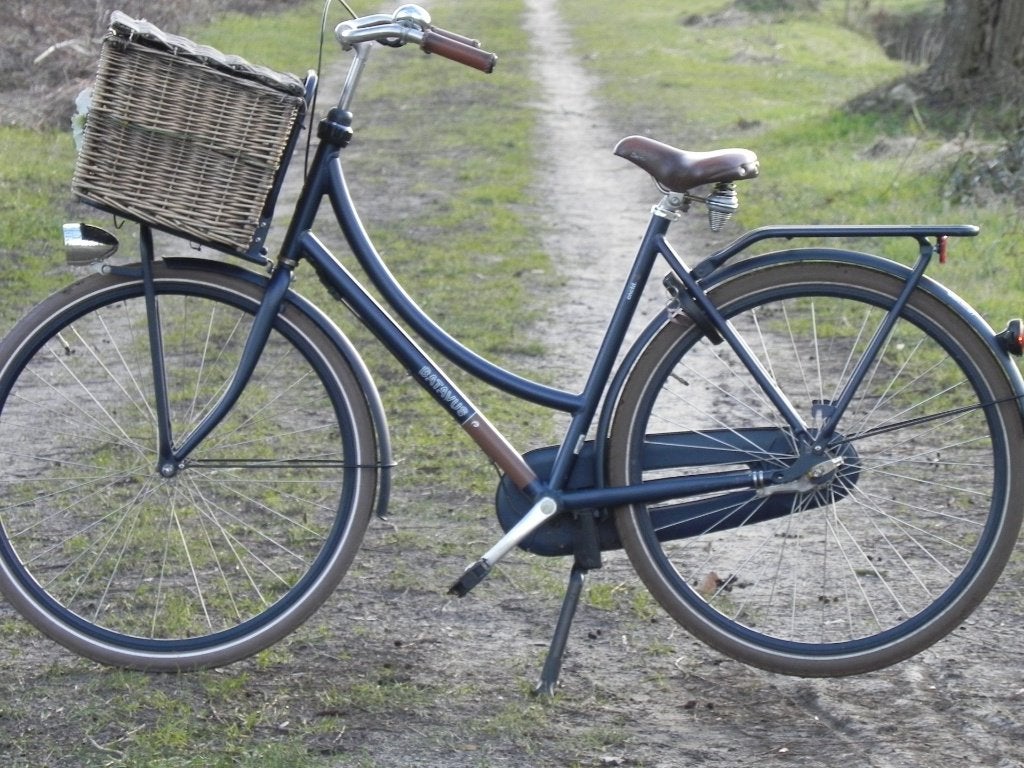 ‍️Batavus CNCTD 28 inch 3 versnellingen ‍️, Fietsen en Brommers, Fietsen | Dames | Damesfietsen, Ophalen, Terugtraprem, 53 tot 56 cm