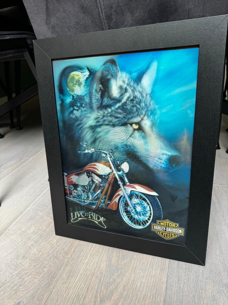 3D Harley Davidson Schilderij - Live to Ride, Minder dan 50 cm, Ophalen of Verzenden, Zo goed als nieuw, Minder dan 50 cm
