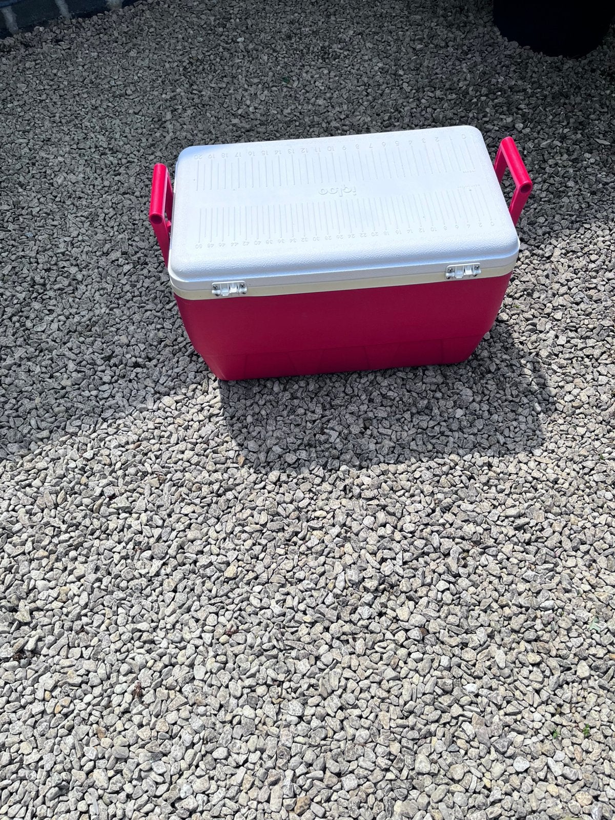 Igloo 48 Koelbox 40 liter inoud, Ophalen, Gebruikt, Koelbox, Koelelement
