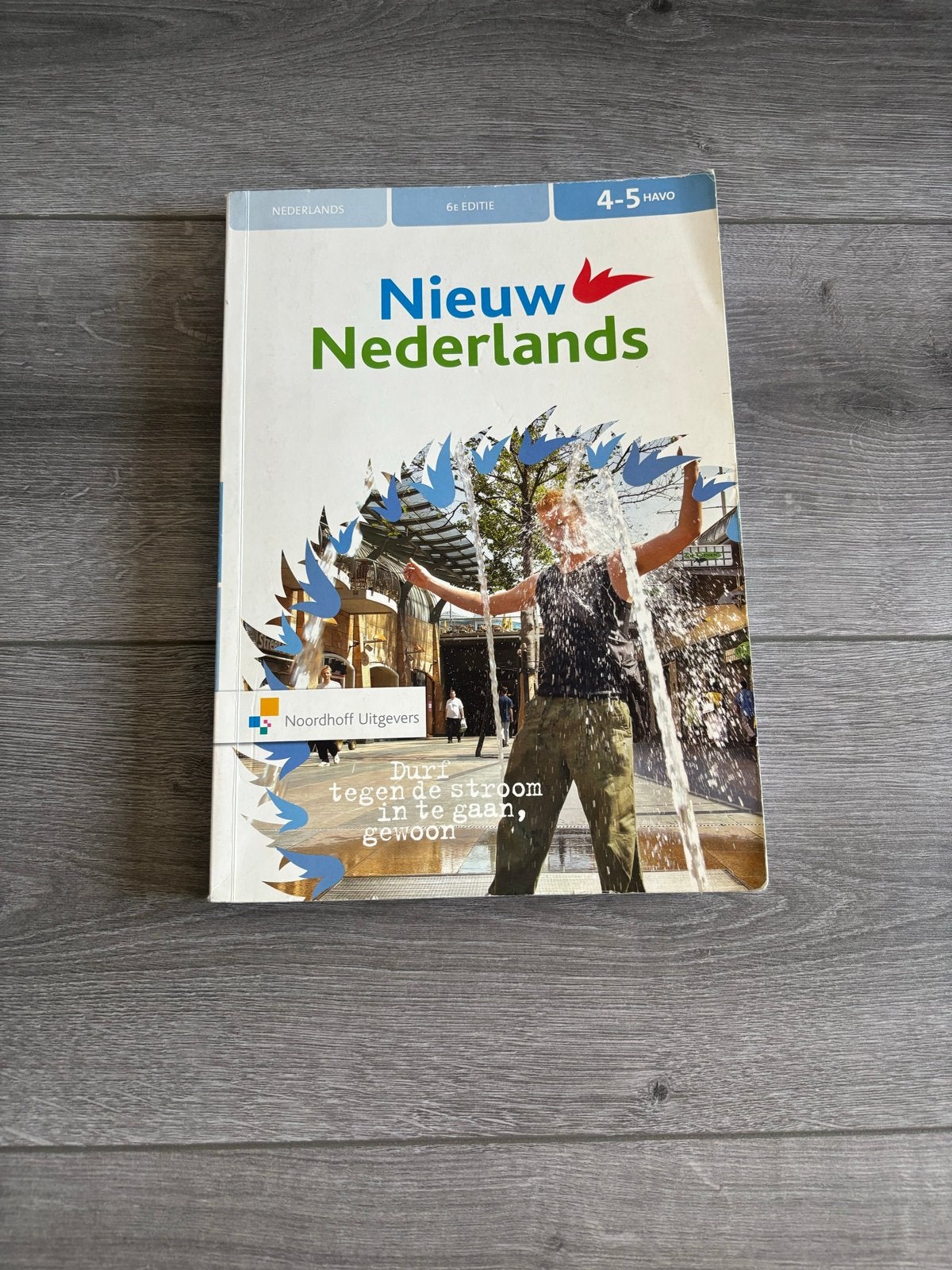 Nieuw Nederlands 4-5 HAVO 6e editie, Boeken, Schoolboeken, Ophalen of Verzenden, Gelezen, HAVO, Nederlands