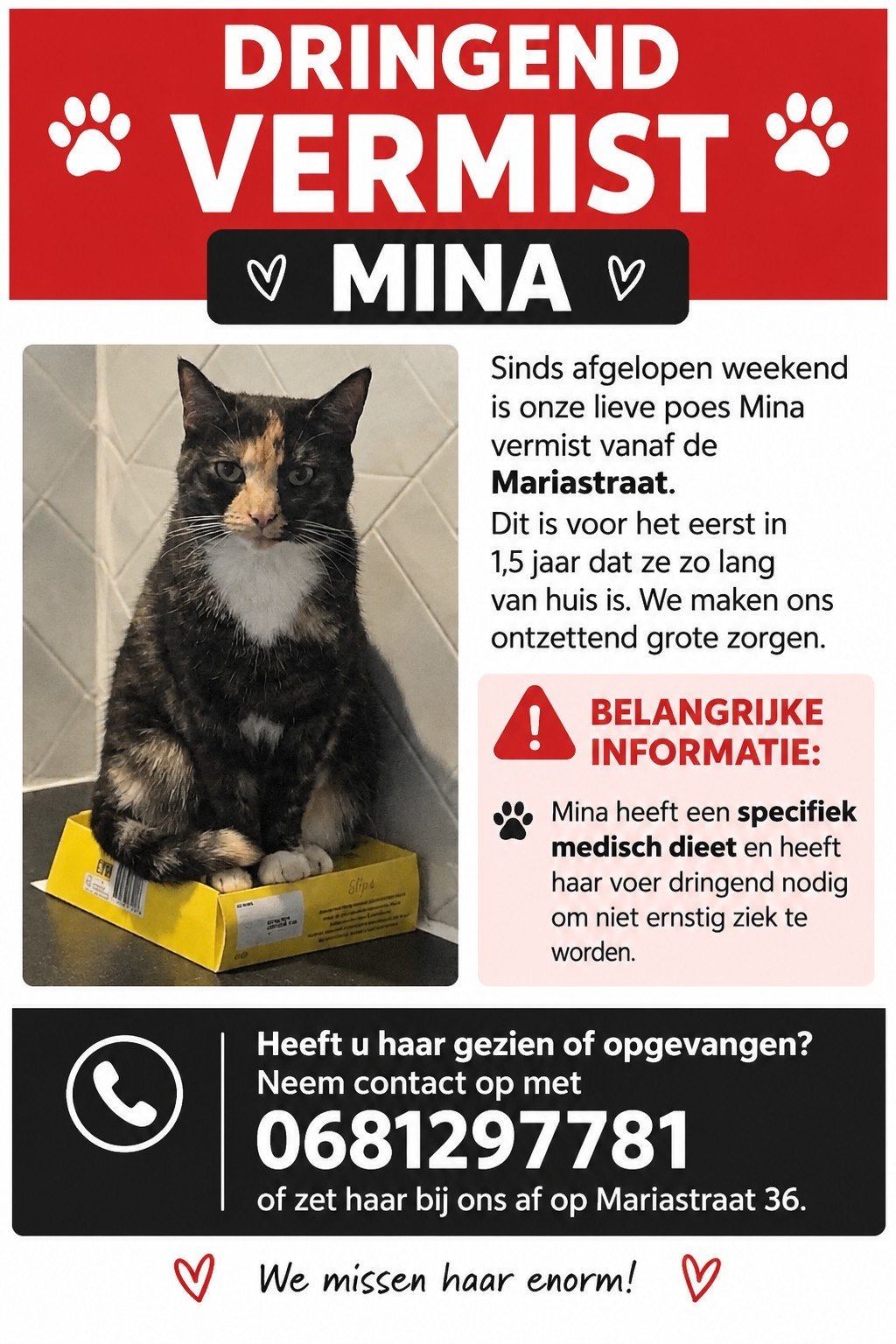 Vermiste poes, Dieren en Toebehoren, Kat