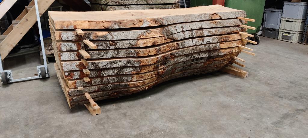 Diverse Boomstamplanken, Ophalen, Minder dan 25 mm, Nieuw, Plank