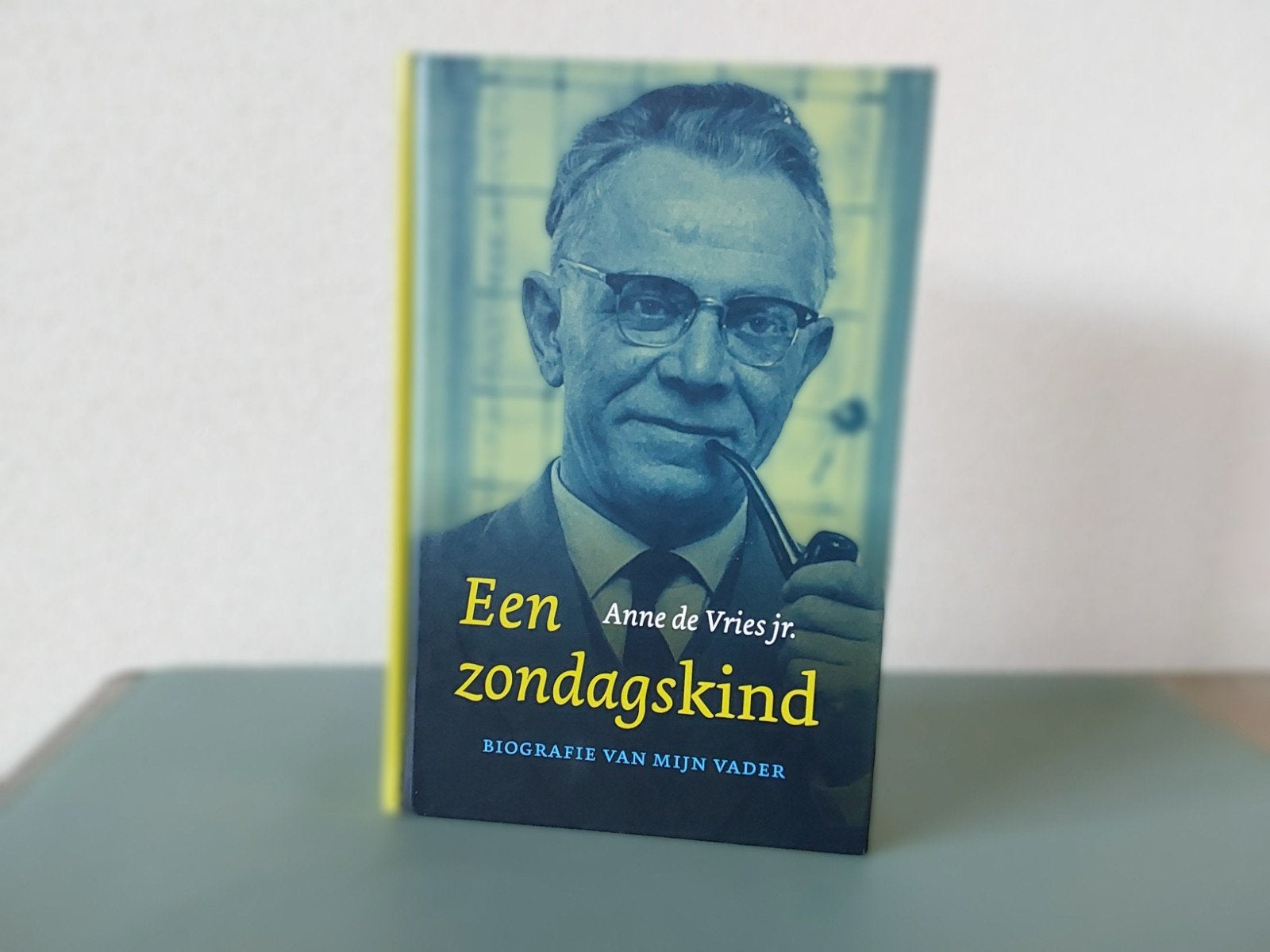 Anne de Vries / een Zondagskind, Ophalen of Verzenden, Nieuw, Anne de Vries jr.