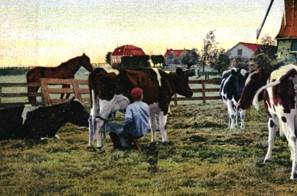 700883 Waterland Broek NH Jr 30 35 Nette kaart onbeschreven, Ophalen of Verzenden, 1920 tot 1940, Ongelopen, Noord-Holland
