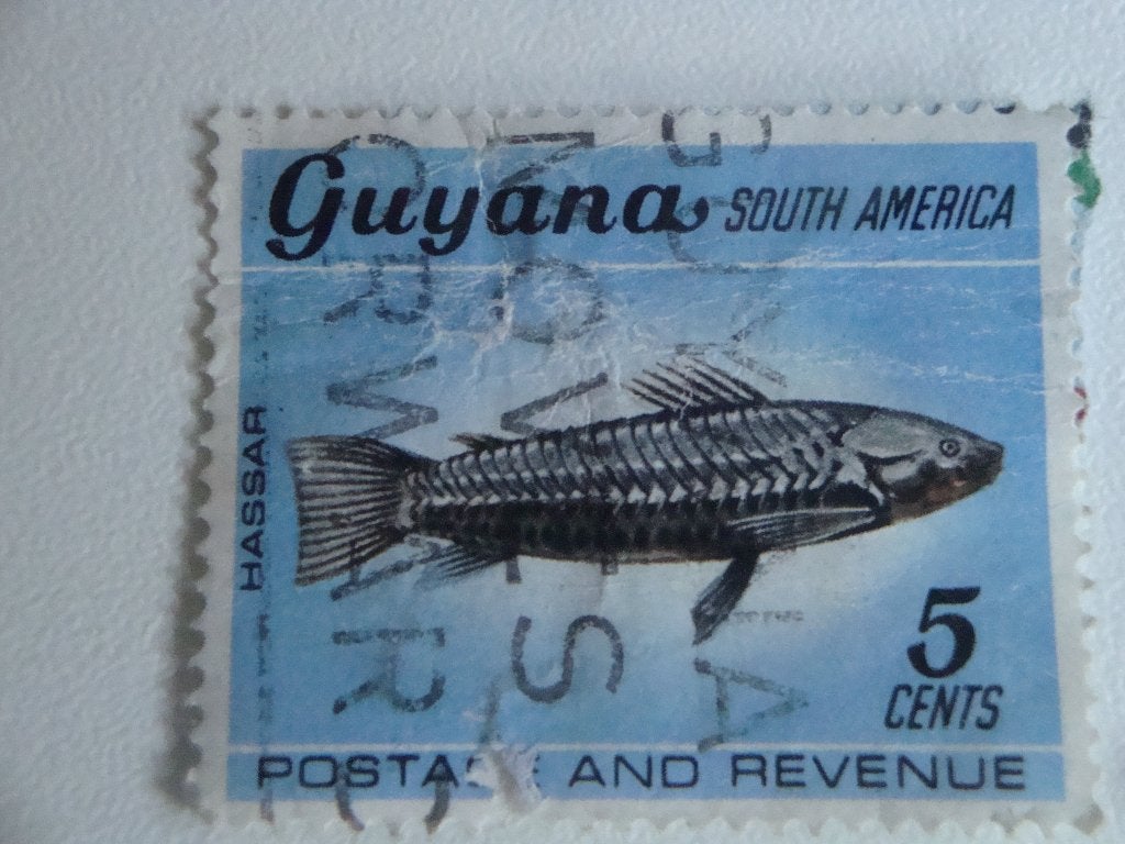 Postzegel 5 Cent Guyana., Verzenden, Gestempeld, Zuid-Amerika