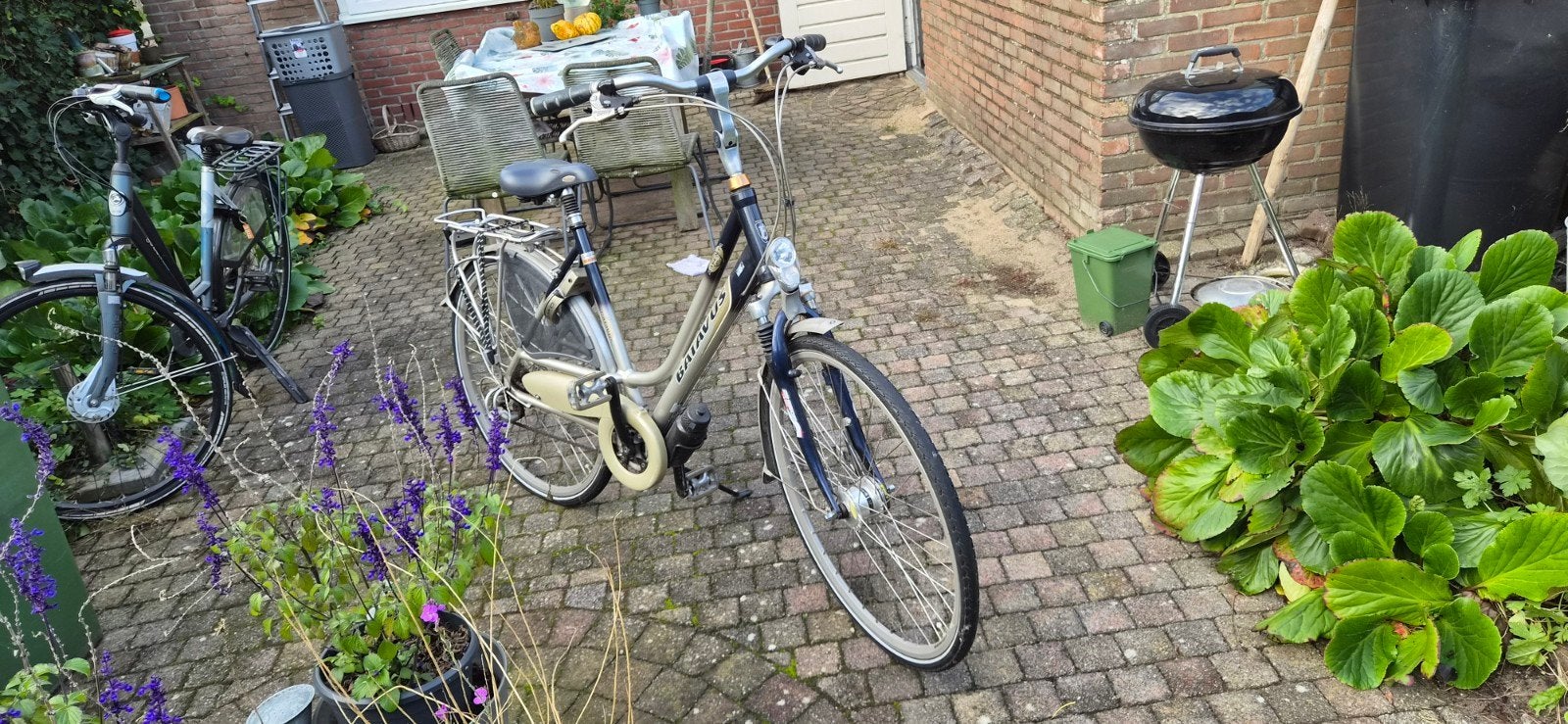 Batavus damesfiets met lage instap en versnellingen, Ophalen, Gebruikt, Batavus