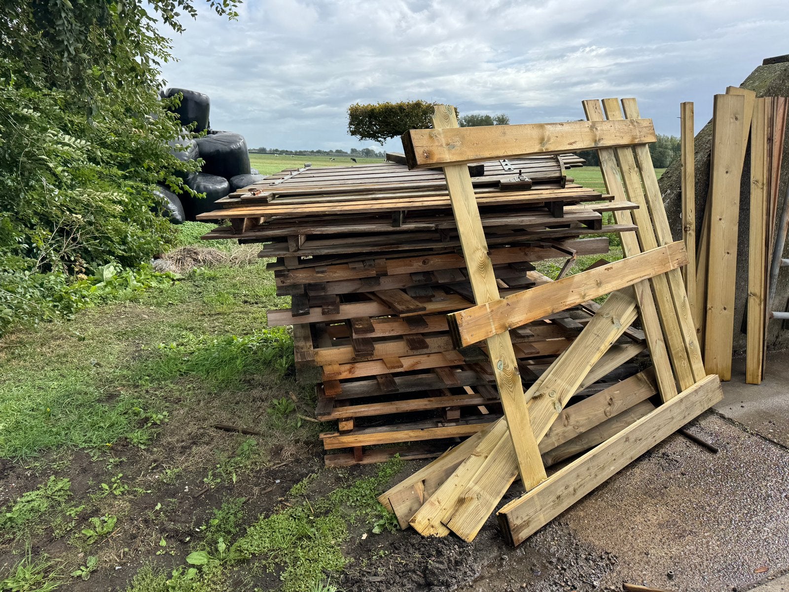Pallet hout, Doe-het-zelf en Verbouw, Ophalen, Zo goed als nieuw, 50 mm of meer, Pallet