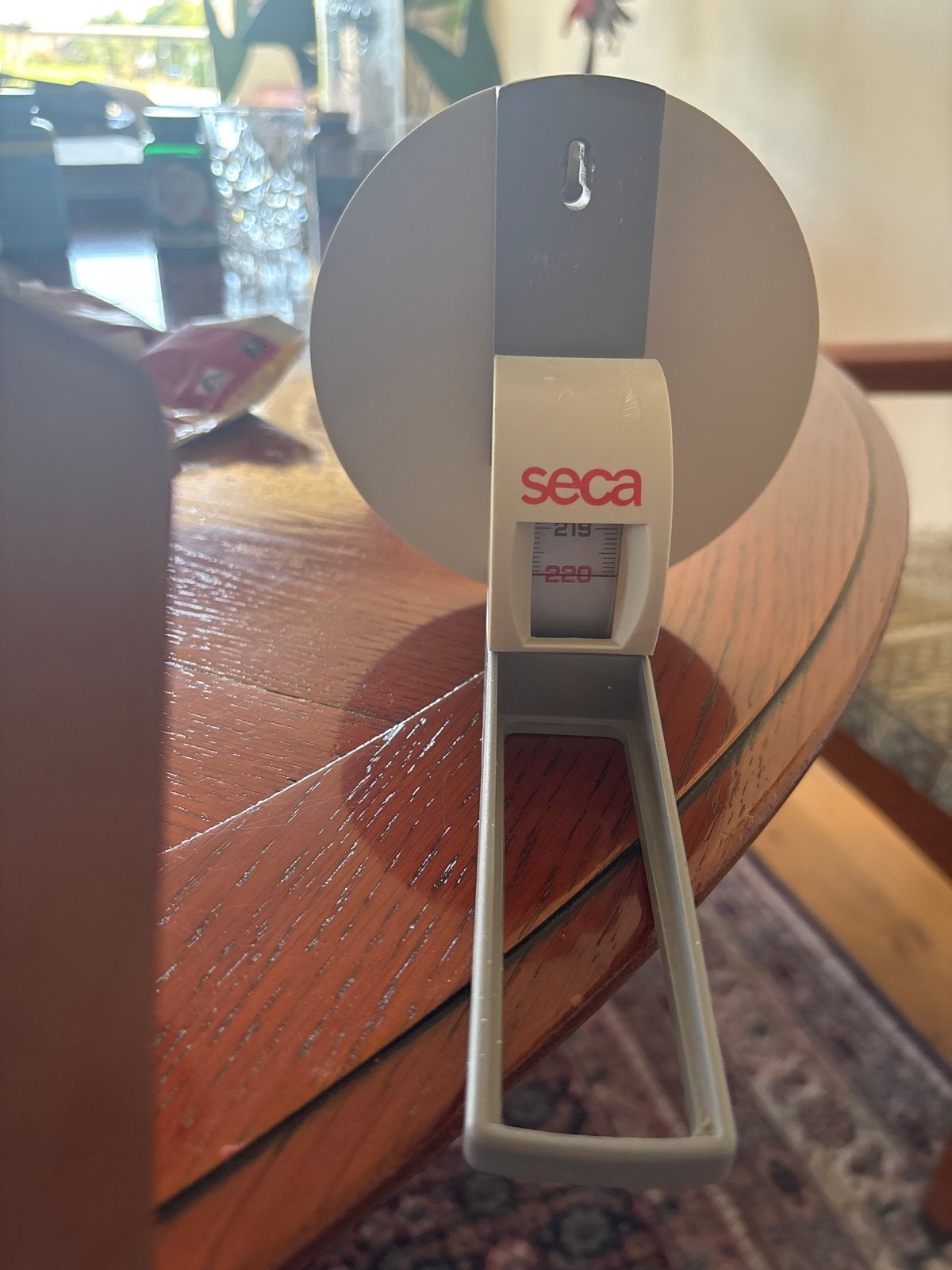 Seca Medisch Meetlint Muurbevestiging, Witgoed en Apparatuur, Ophalen of Verzenden, Gebruikt, Overige typen, Analoog