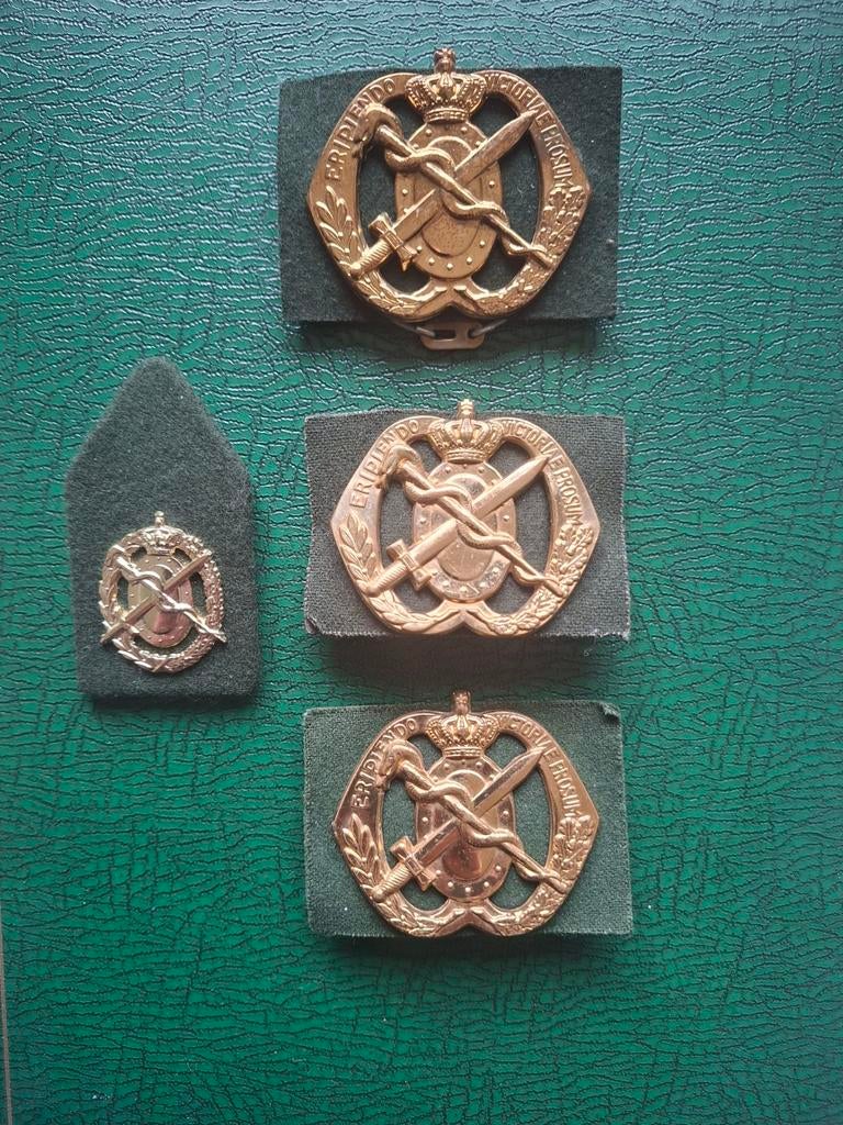 3x baretemblemen + kraagspiegel/ regim.Geneeskundige Troepen, Verzamelen, Ophalen of Verzenden, Landmacht, Nederland