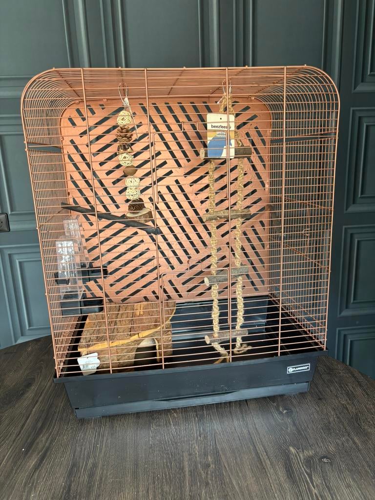 Mooie koperkleur vogelhok incl nieuwe accessoires, Dieren en Toebehoren, Vogels | Hokken en Kooien, Ophalen, Zo goed als nieuw