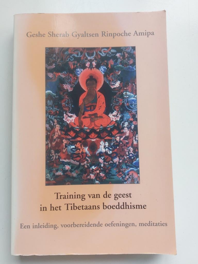 Training van de geest in het Tibetaanse boeddhisme, Boeken, Esoterie en Spiritualiteit, Ophalen of Verzenden, Overige typen