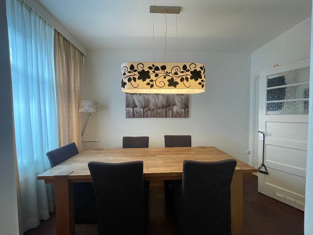 mooie hanglamp,, Ophalen, Gebruikt, Minder dan 50 cm