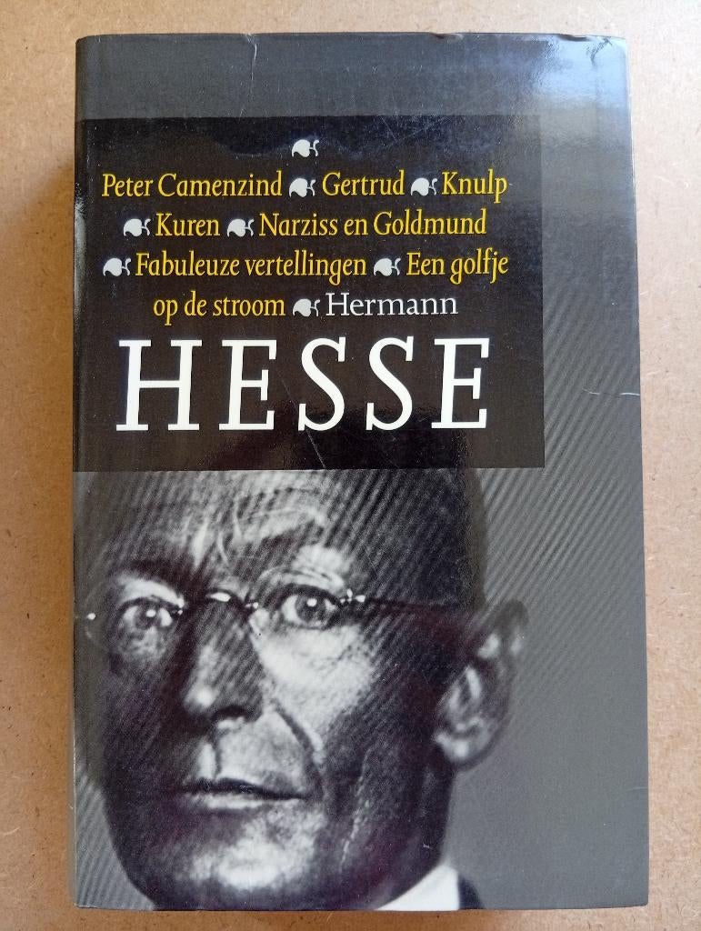 Hermann Hesse - verzameld werk, Boeken, Literatuur, Gelezen, Europa overig, Herman Hesse, Ophalen of Verzenden