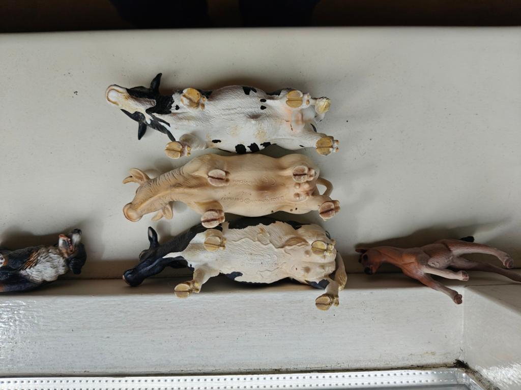 Schleich modeldieren, Ophalen